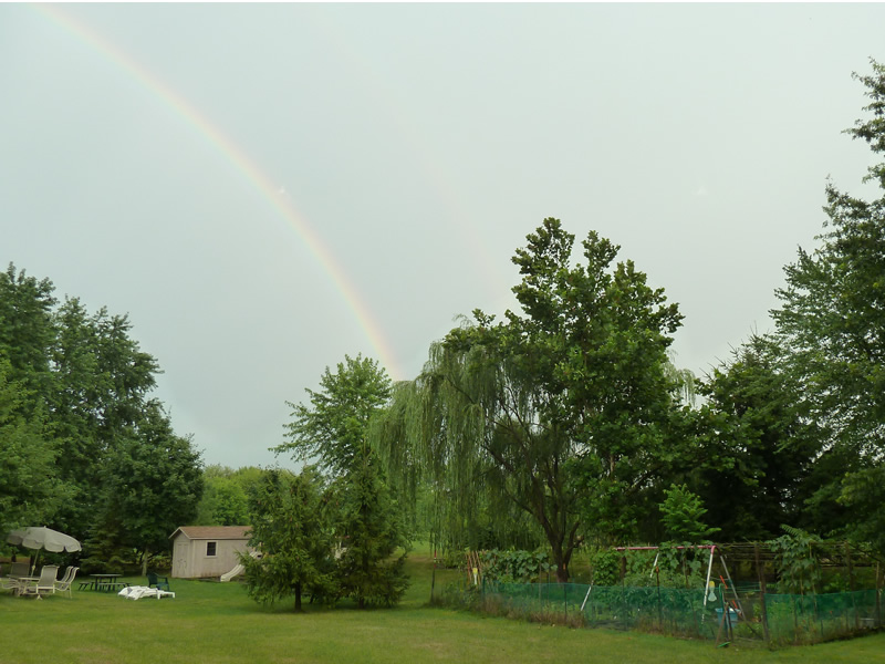 rainbow meijing