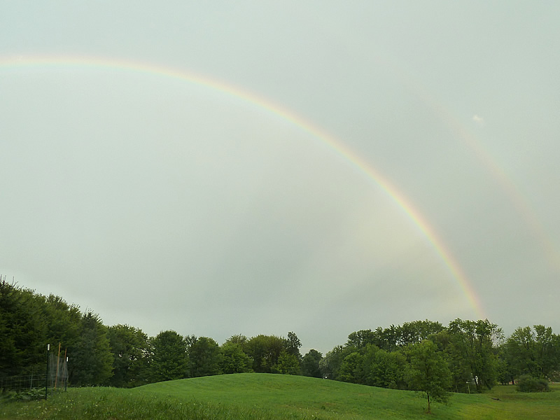rainbow meijing