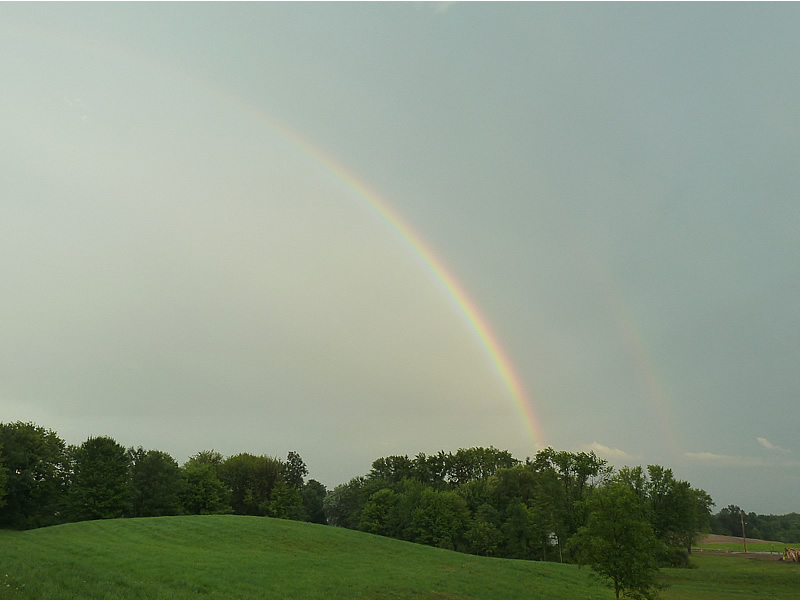 rainbow meijing