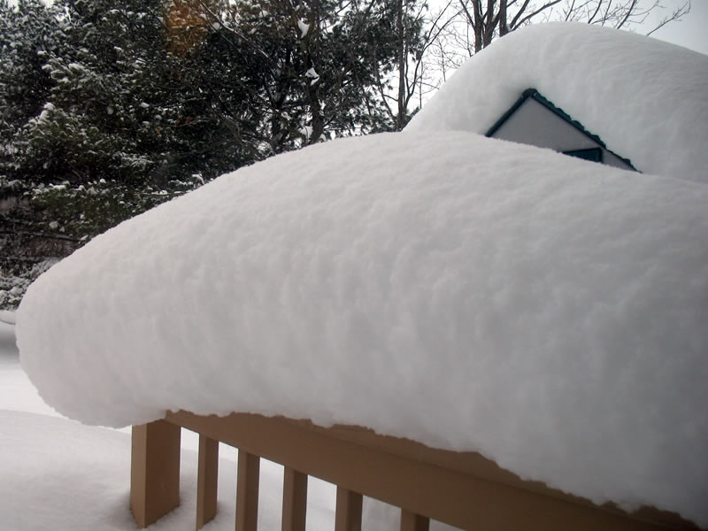 snow winter