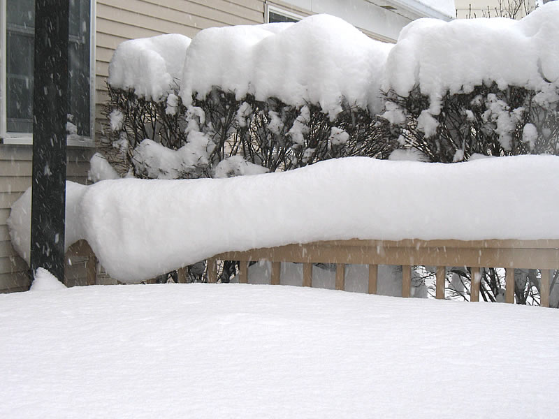snow winter